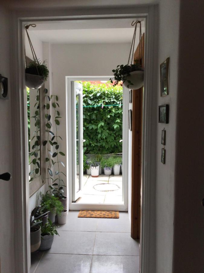 Garden Flat 1 Bed & Breakfast Llandudno Bagian luar foto